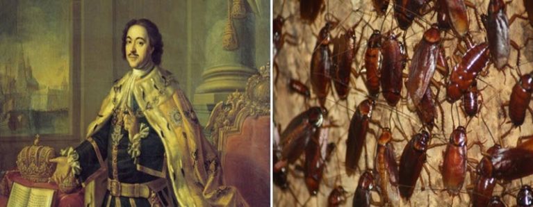 Удивительные фобии бесстрашных исторических лидеров