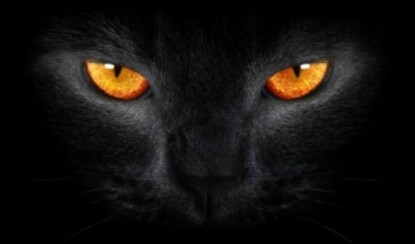 Чужие нравы