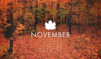 Интересные даты ноября