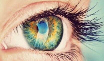 Глаз человека