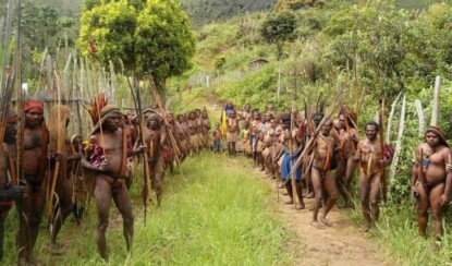 Что такое Котека и для чего она нужна