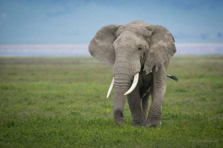 Страна тысячи улыбок