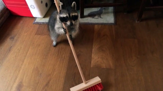 Забавные животные - Часть 1 (23 фото)