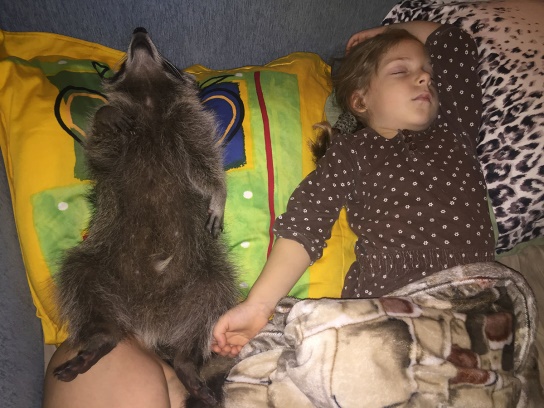 Забавные животные - Часть 1 (23 фото)