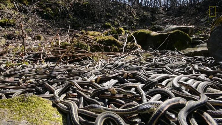 Самые страшные места на планете