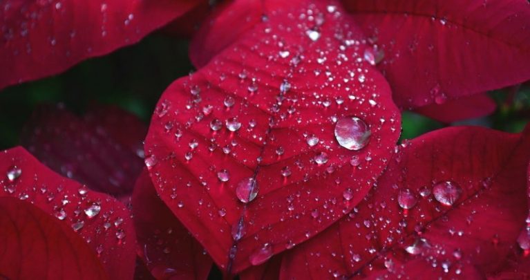 Влияние цвета на наше настроение