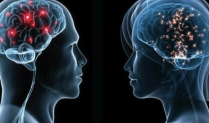 Мозг человека