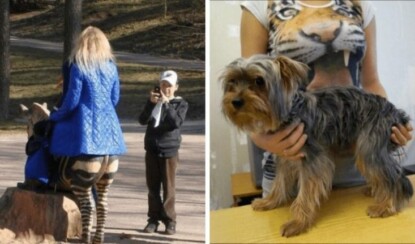 Показалось или игра воображения (20 фото)