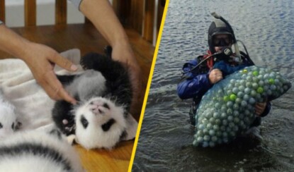 Топ-10 самых необычных профессий