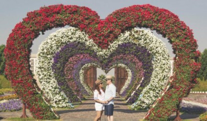 Цветы-талисманы. Выращиваем счастье в своем доме