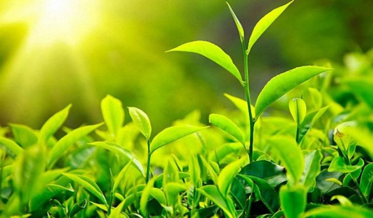 Влияние цвета на наше настроение