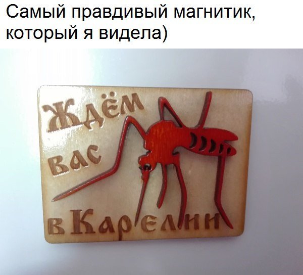 Прикольные картинки с надписями - Part - 1 (20 фото)