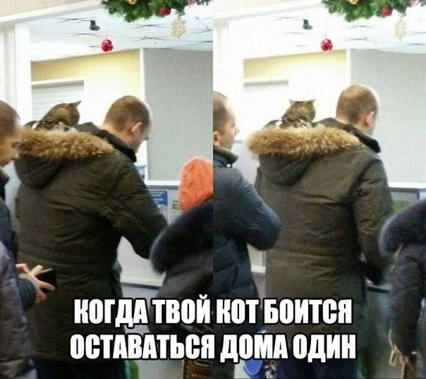 Прикольные картинки с надписями - Part - 1 (20 фото)