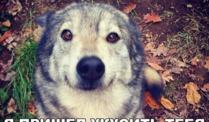 Прикольные картинки с надписями — Part — 1 (20 фото)