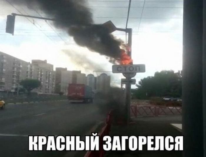 Прикольные картинки с надписями - Part - 1 (20 фото)