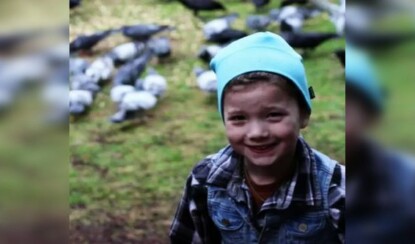 Девочка прикормила ворон. И вот как птицы отблагодарили свою кормилицу!