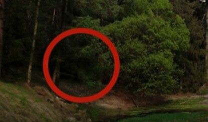 Российский Хатико: собака 5 лет ждала своих погибших хозяев у дороги