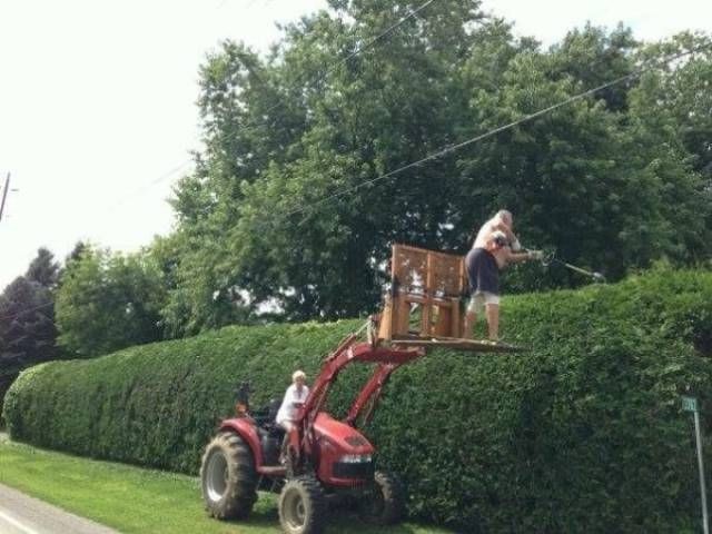 Подборка прикольных фотографий (104 фото)