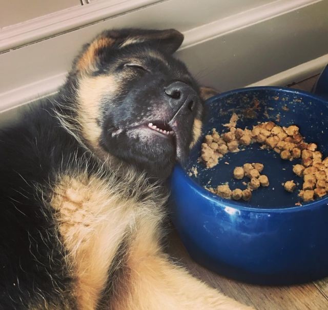 Подборка прикольных фотографий (104 фото)