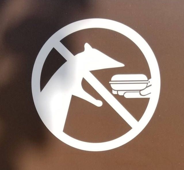 Подборка прикольных фотографий (104 фото)