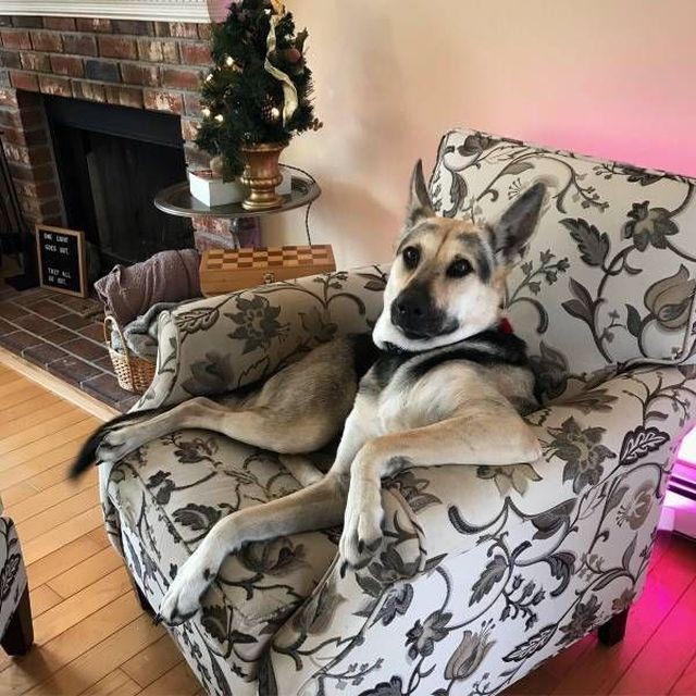 Подборка прикольных фотографий (104 фото)