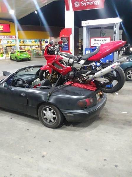 Подборка прикольных фотографий (104 фото)