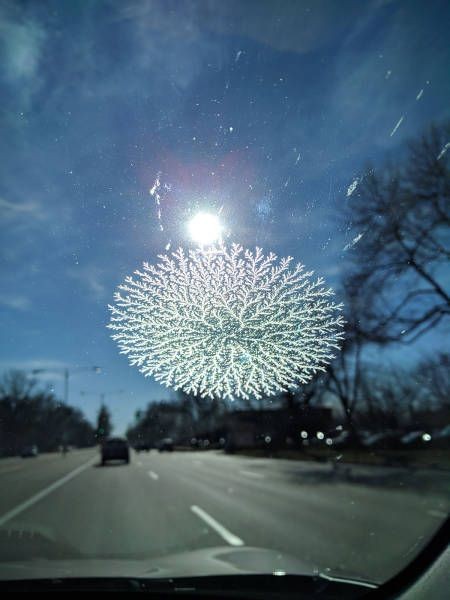 Подборка прикольных фотографий (104 фото)