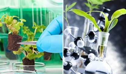 Военные научат растения незаметно шпионить