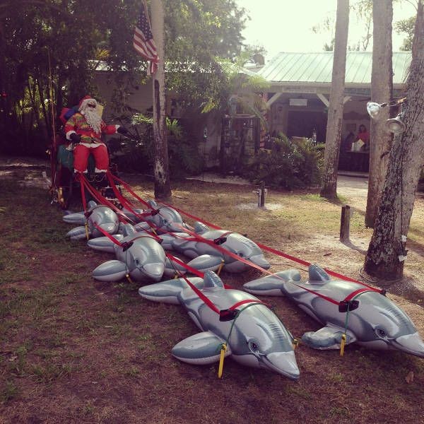 Подборка прикольных фотографий (104 фото)