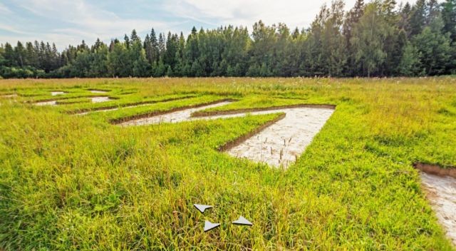 Гигантская надпись на поле: "Катя, ты выйдешь за меня?" (4 фото)