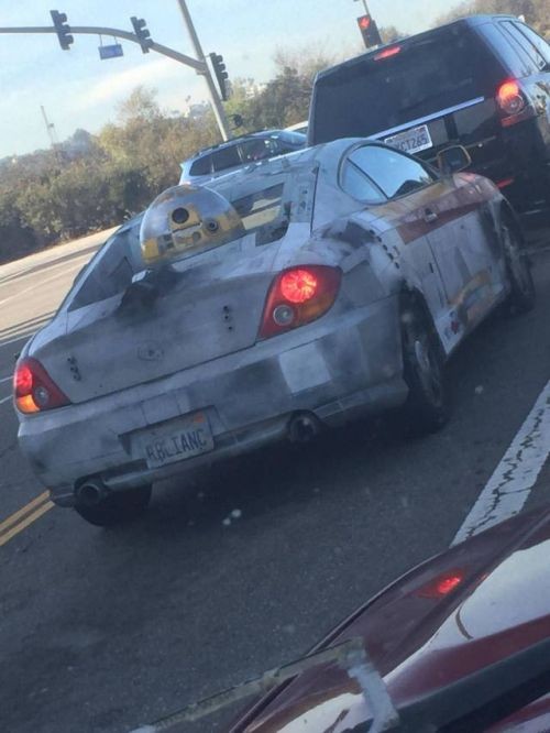 Подборка прикольных фотографий (104 фото)