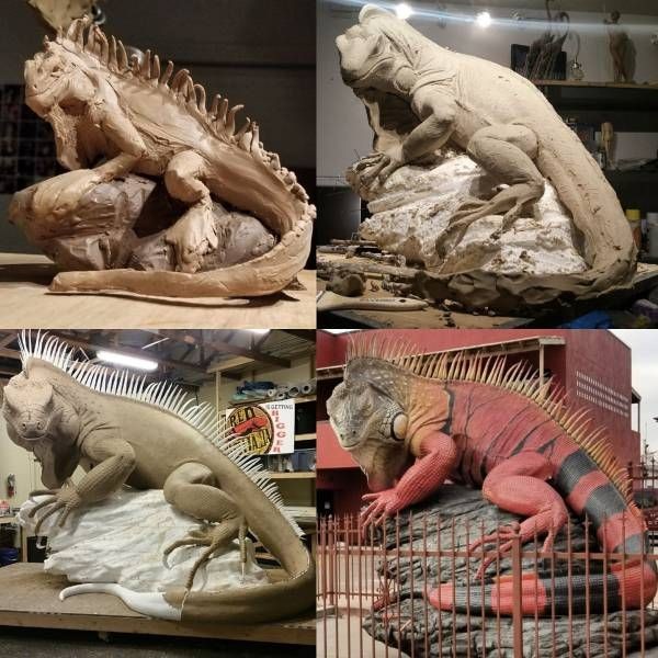 Подборка прикольных фотографий (104 фото)