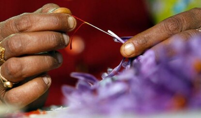 Шафран — самая дорогая пряность в мире