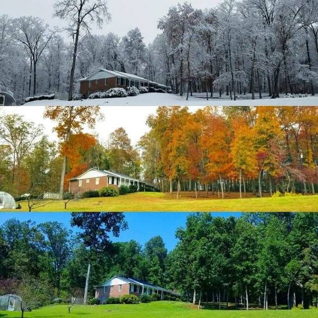 Подборка прикольных фотографий (104 фото)