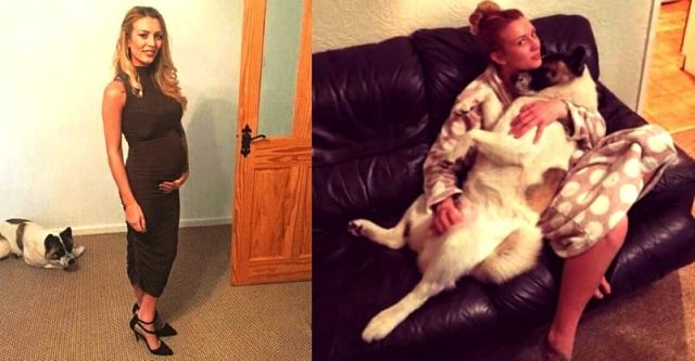 Собака спасла жизнь своей беременной хозяйке