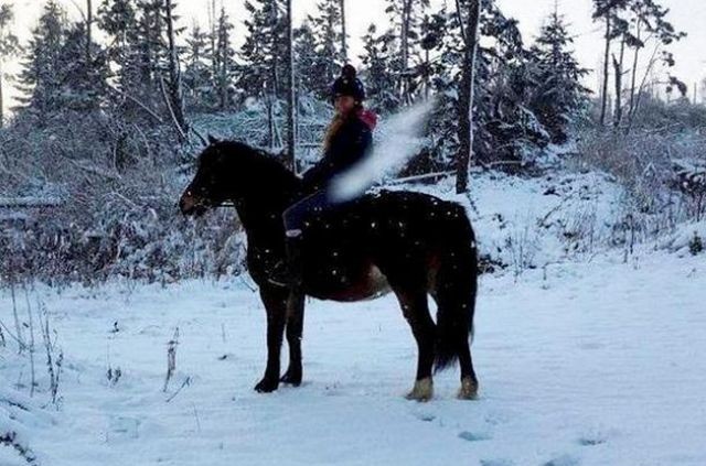 Подборка прикольных фотографий (104 фото)