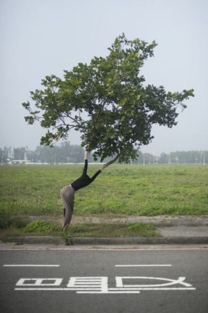 Подборка прикольных фотографий (104 фото)