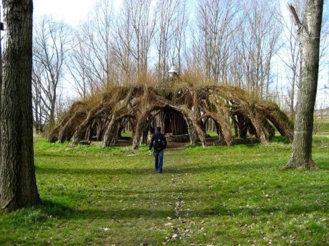 Подборка прикольных фотографий (104 фото)