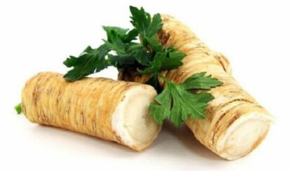 5 лучших природных антибиотиков