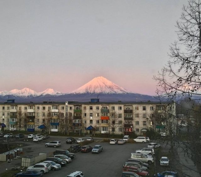 Подборка прикольных фотографий (104 фото)