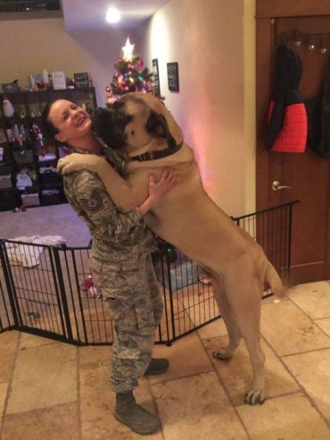 Подборка прикольных фотографий (104 фото)