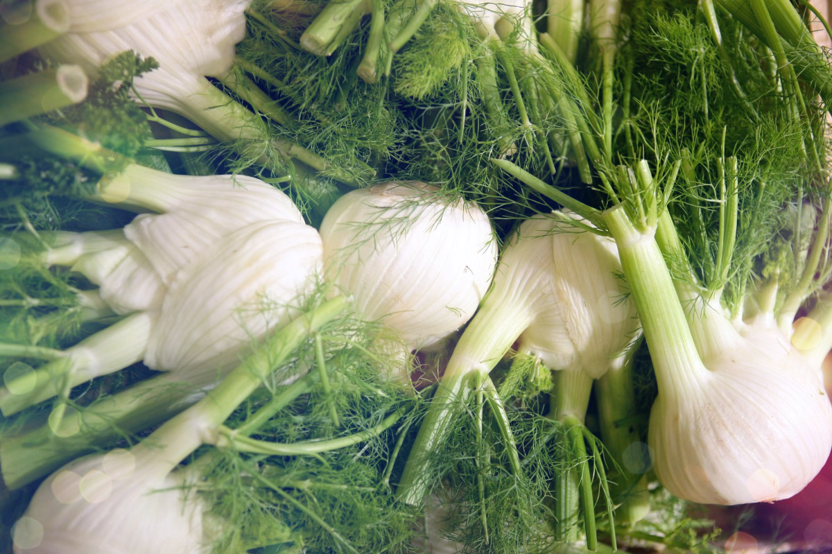 Фенхель: большой друг плова и супа