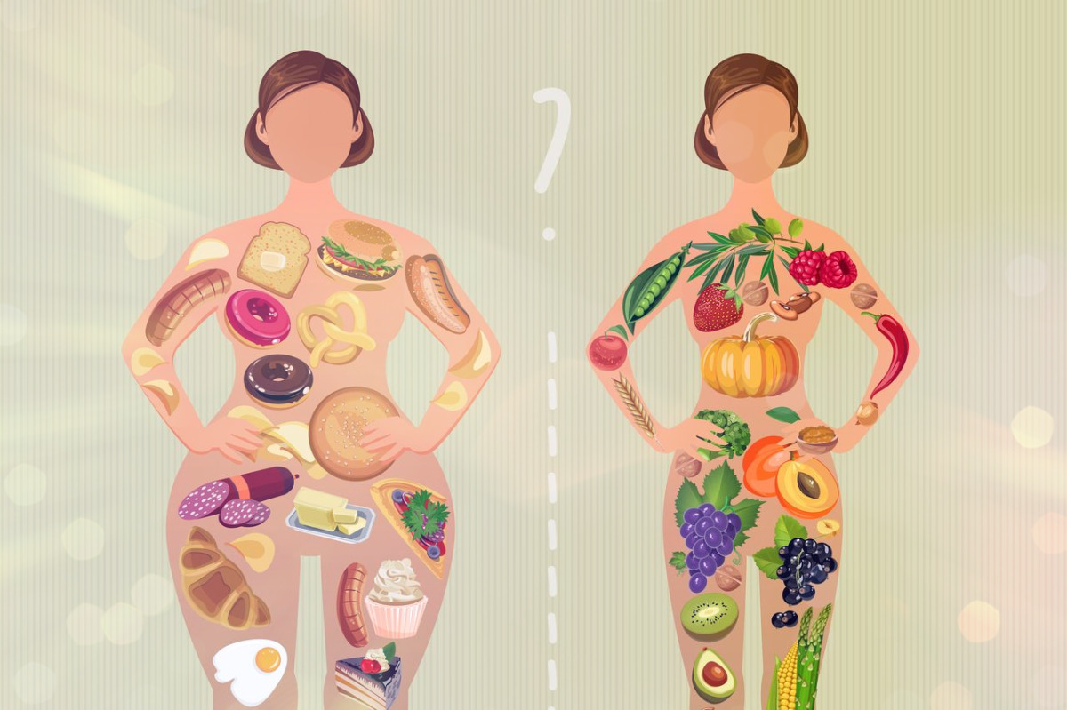 Мифология обмена веществ