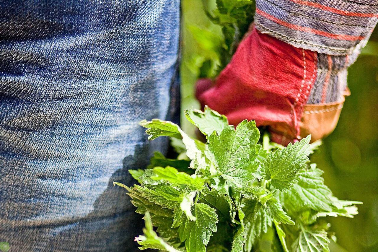 Как защитить белье от моли?