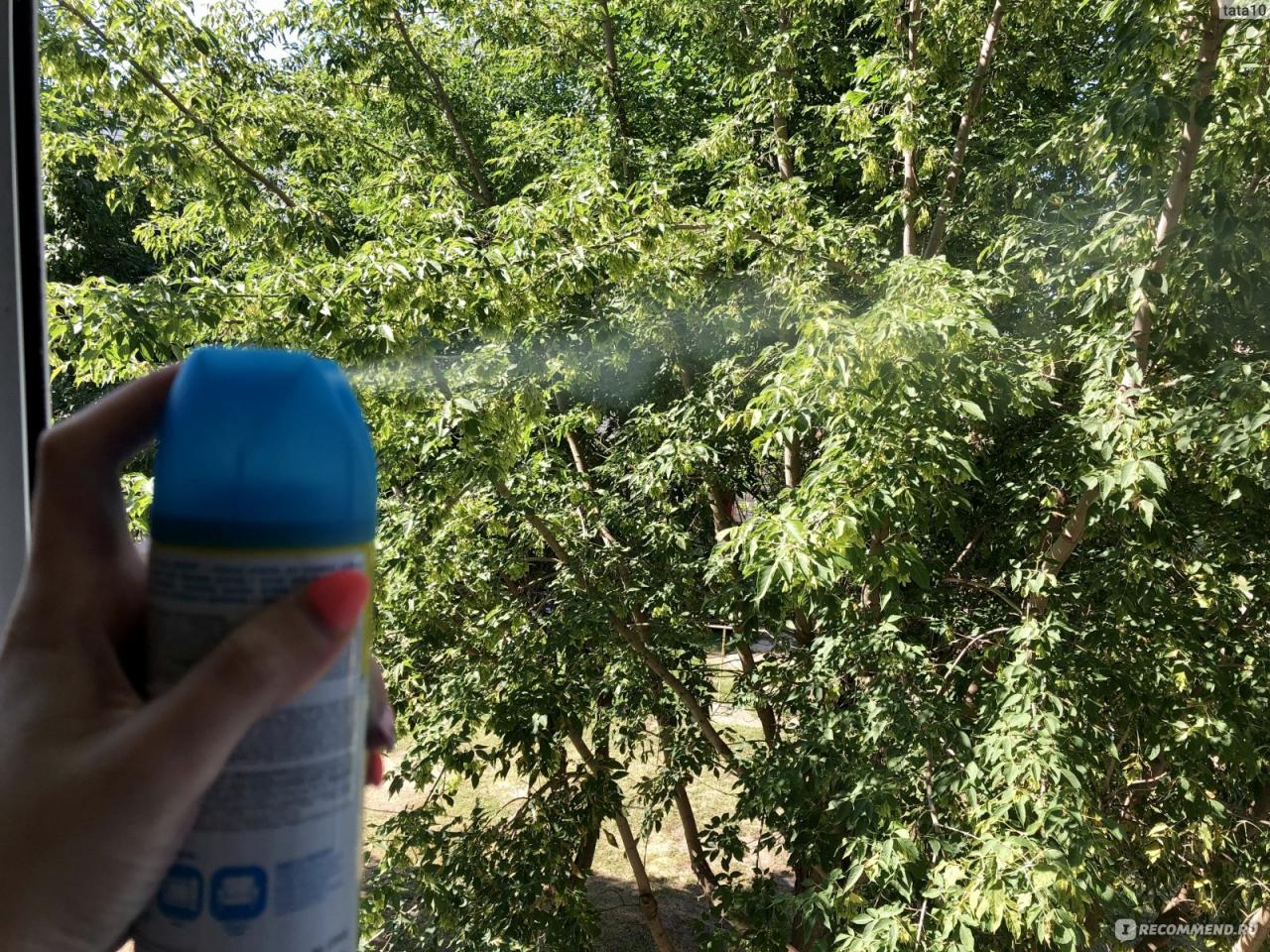 Как защитить белье от моли?