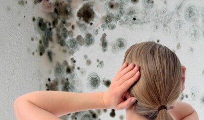 Чем опасна плесень