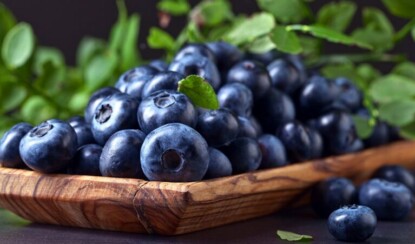 Черника – природный помощник в борьбе с лишним весом