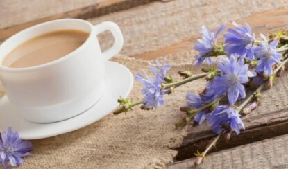 Цикорий: чудо-продукт для здоровья и энергии