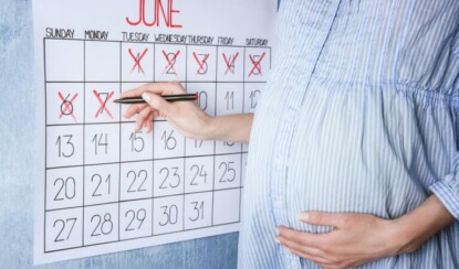 Календарь беременности: описание триместров