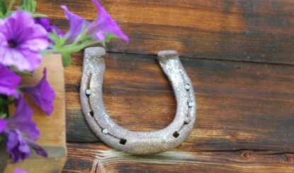 Онлайн гадание на удачу —  «Подкова»